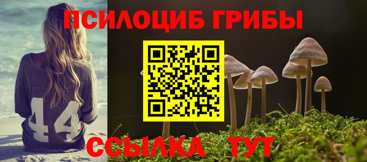Псилоцибиновые грибы Magic Shrooms Бийск